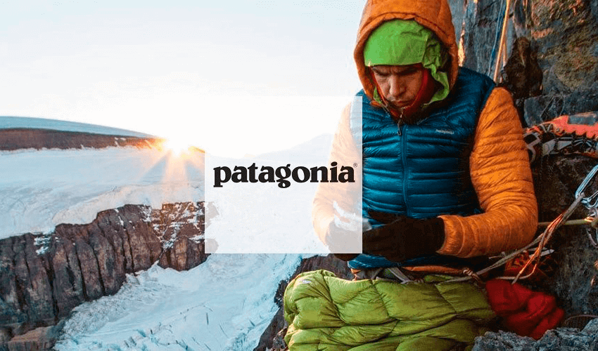 Patagonia indumentaria new arrivals